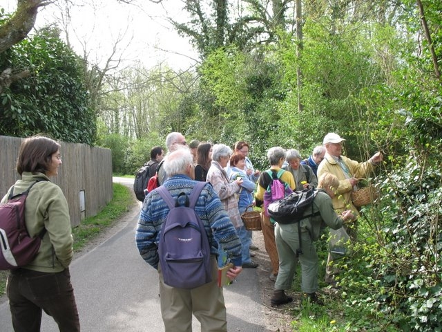 2008 04  Bota et Myco 05